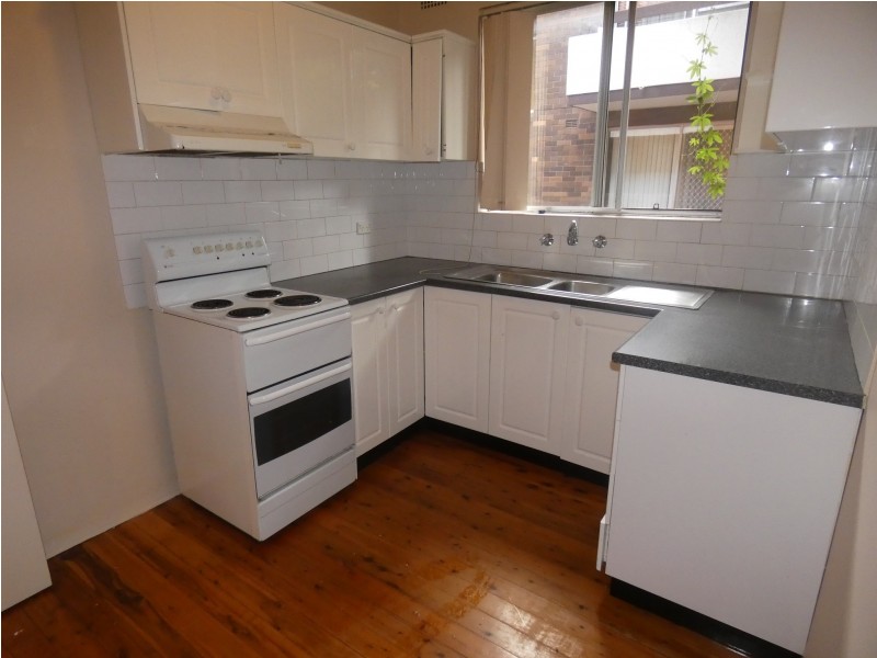 23 Palace Street, Ashfield NSW 2131