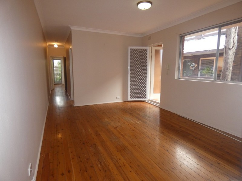 23 Palace Street, Ashfield NSW 2131