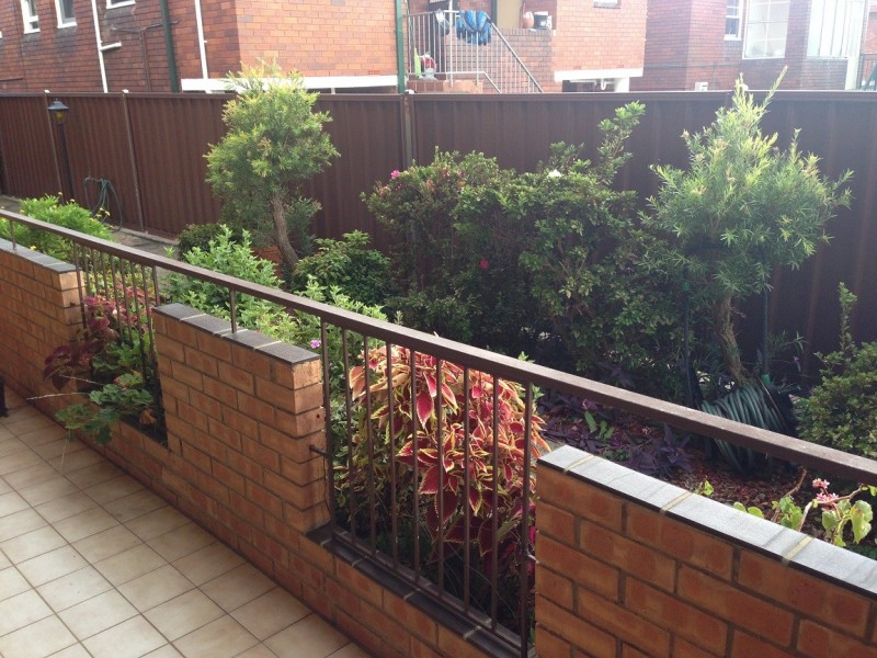 37 Alt Street, Ashfield NSW 2131