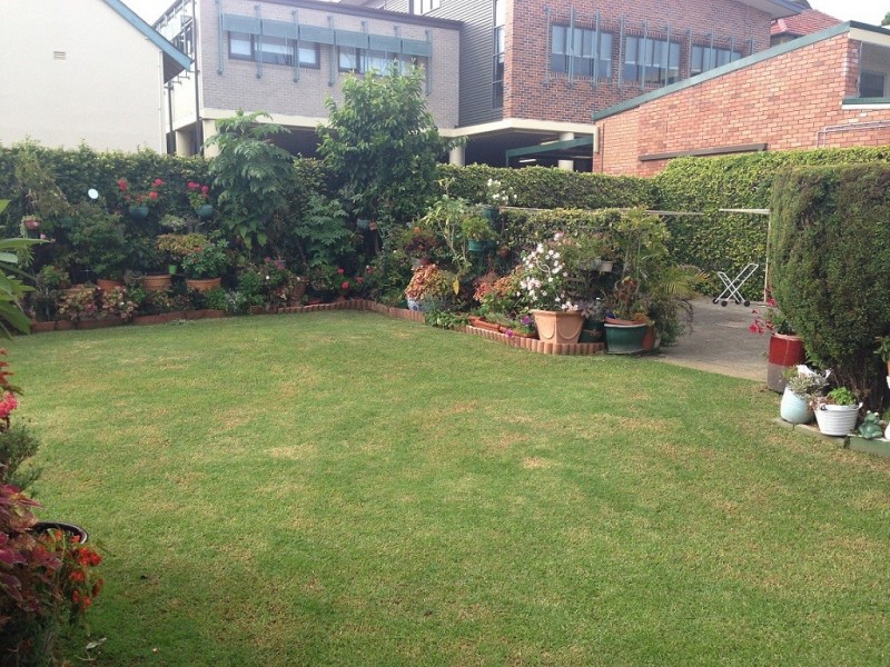 37 Alt Street, Ashfield NSW 2131