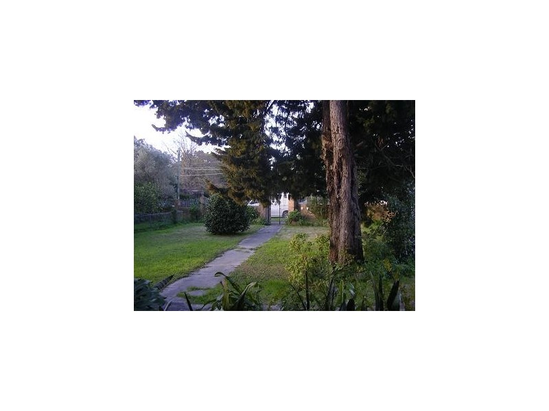 1/5 Bruce Street, Ashfield NSW 2131