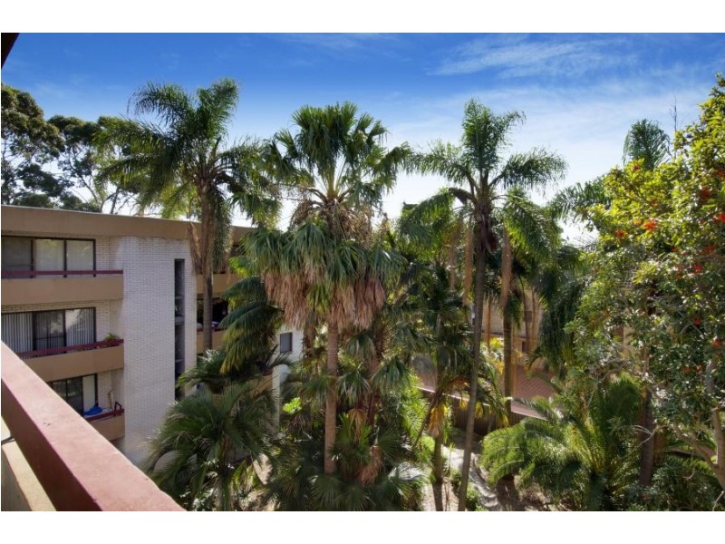 17/92 Milton Street, Ashfield NSW 2131