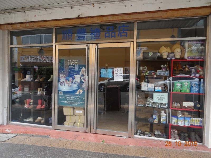 16 Charlotte Street, Ashfield NSW 2131