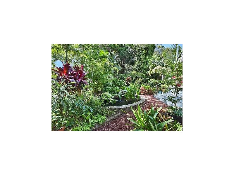 2 Bruce Street, Ashfield NSW 2131