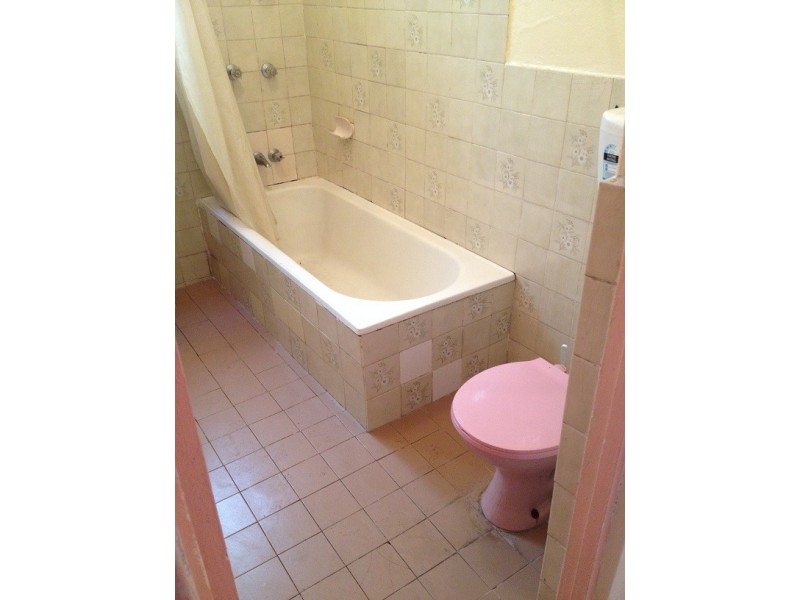 44 Wellesley Street, Summer Hill NSW 2130