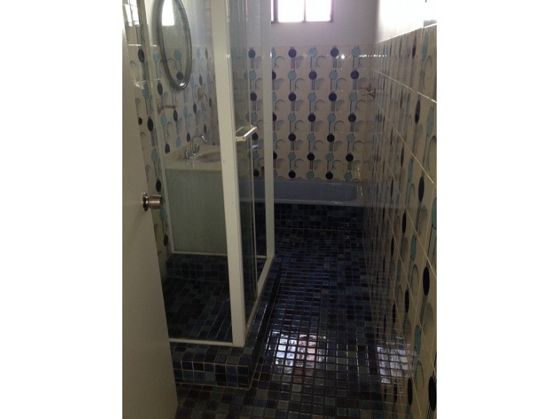 44 Starkey Street, Hurlstone Park NSW 2193