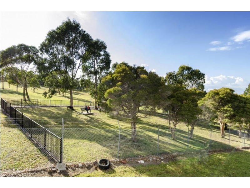 3 King Street, Ashbury NSW 2193