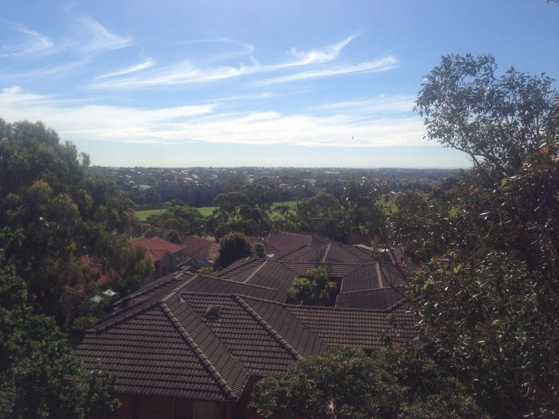 38 Minter Street, Canterbury NSW 2193