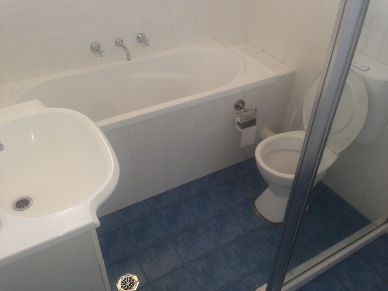 38 Minter Street, Canterbury NSW 2193