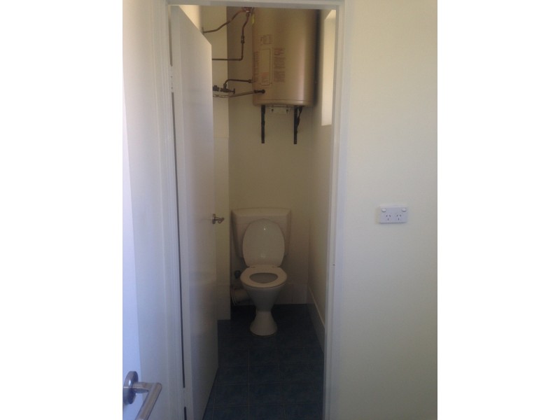 38 Minter Street, Canterbury NSW 2193