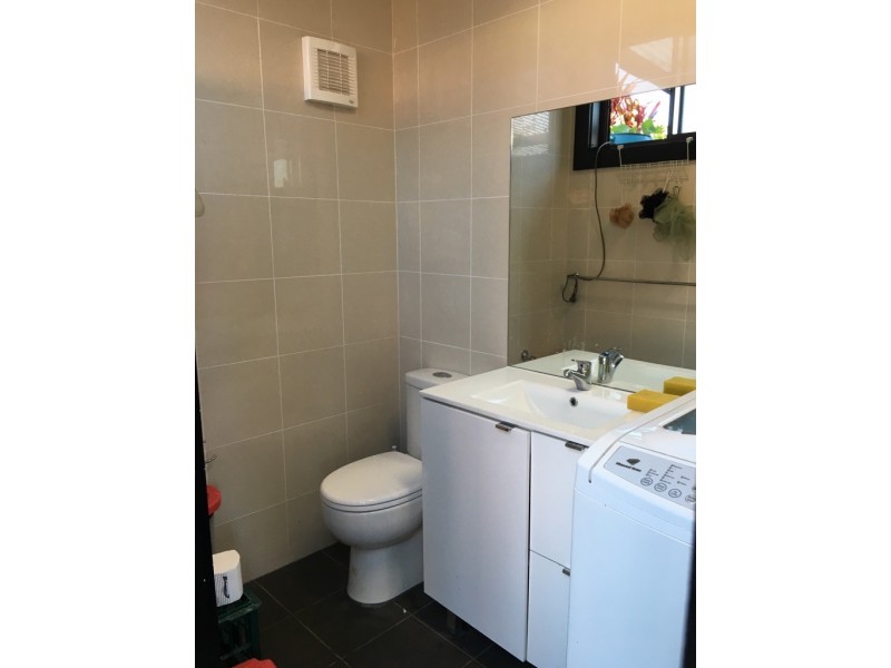 14 A’Beckett Ave, Ashfield NSW 2131