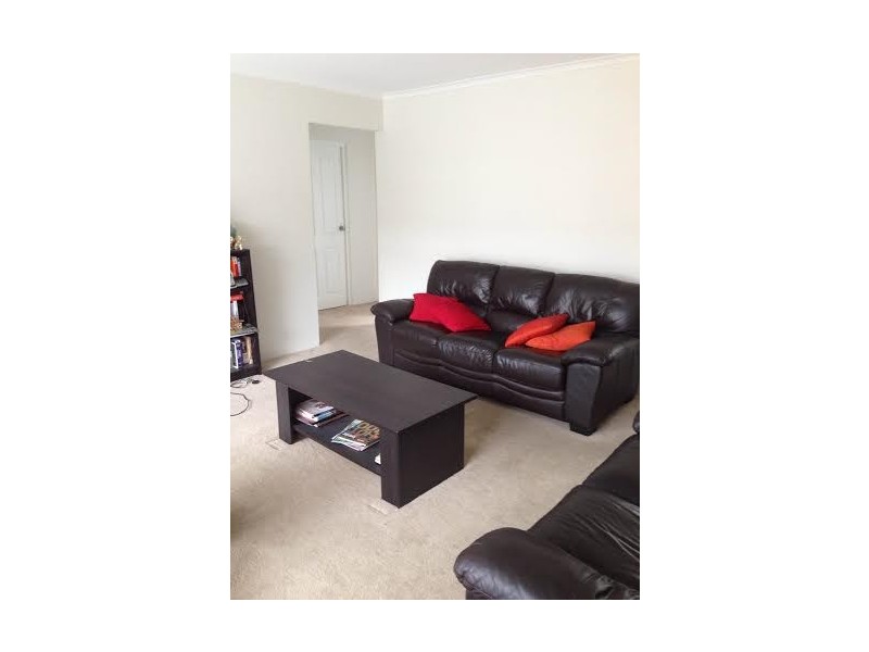 24 Chandos Street, Ashfield NSW 2131