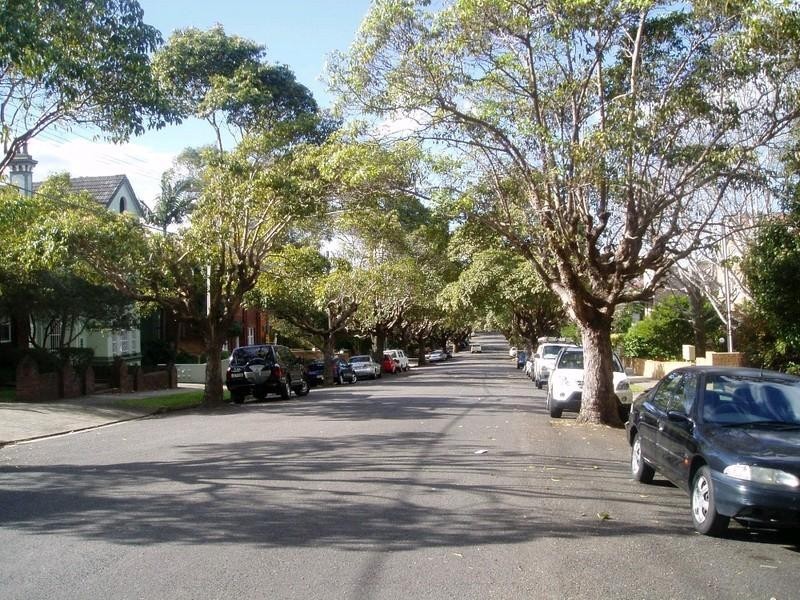 16 Cecil Street, Ashfield NSW 2131