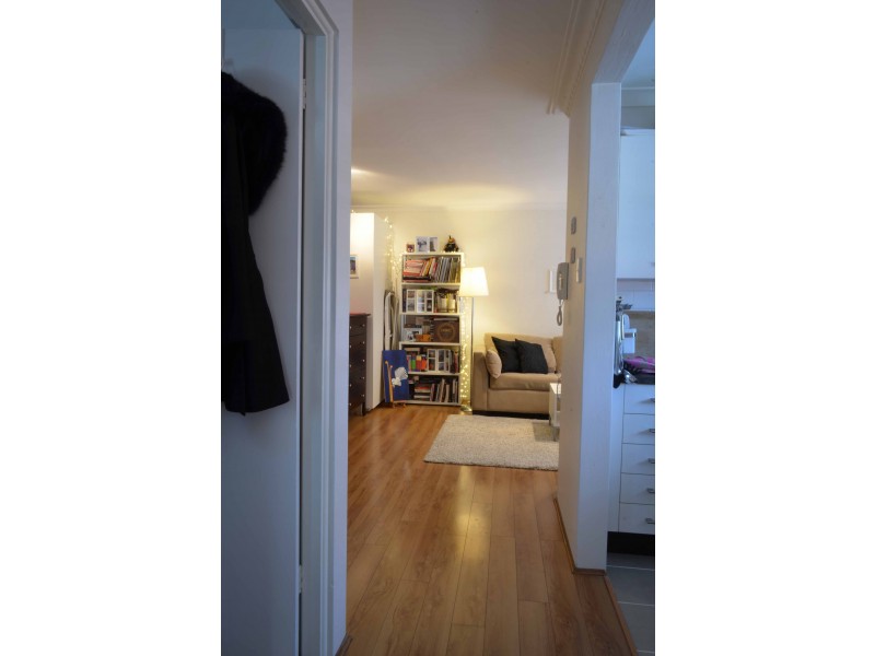 21 Ormond Street, Ashfield NSW 2131