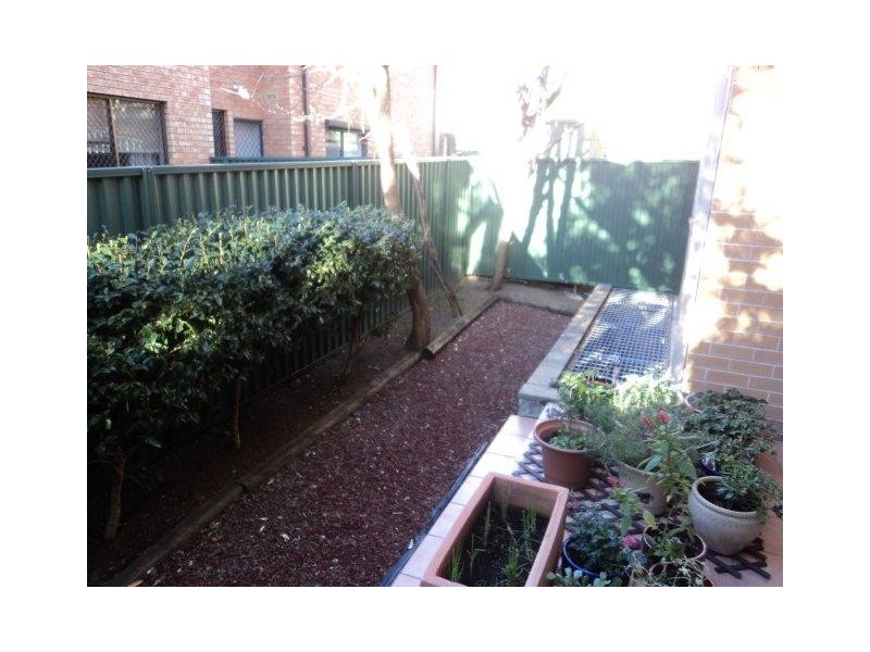 4/35 Alt Street, Ashfield NSW 2131