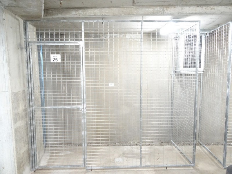 74/2A Brown Street, Ashfield NSW 2131