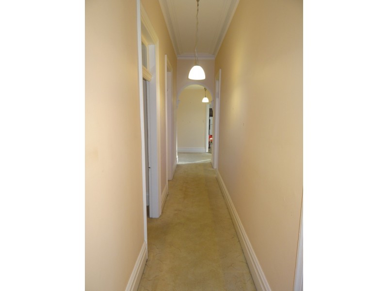 82 Elizabeth Street, Ashfield NSW 2131