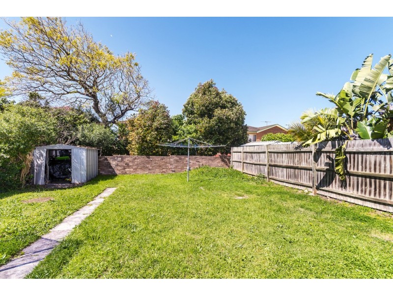 8 Hardy Street, Ashfield NSW 2131