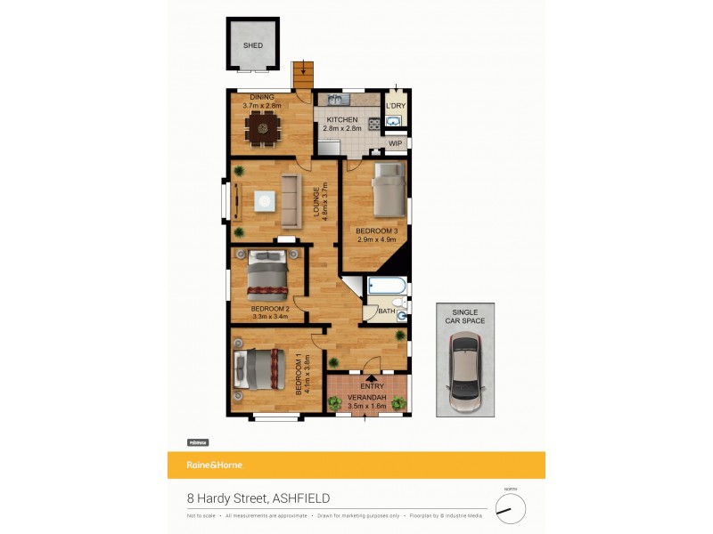 8 Hardy Street, Ashfield NSW 2131 Floorplan