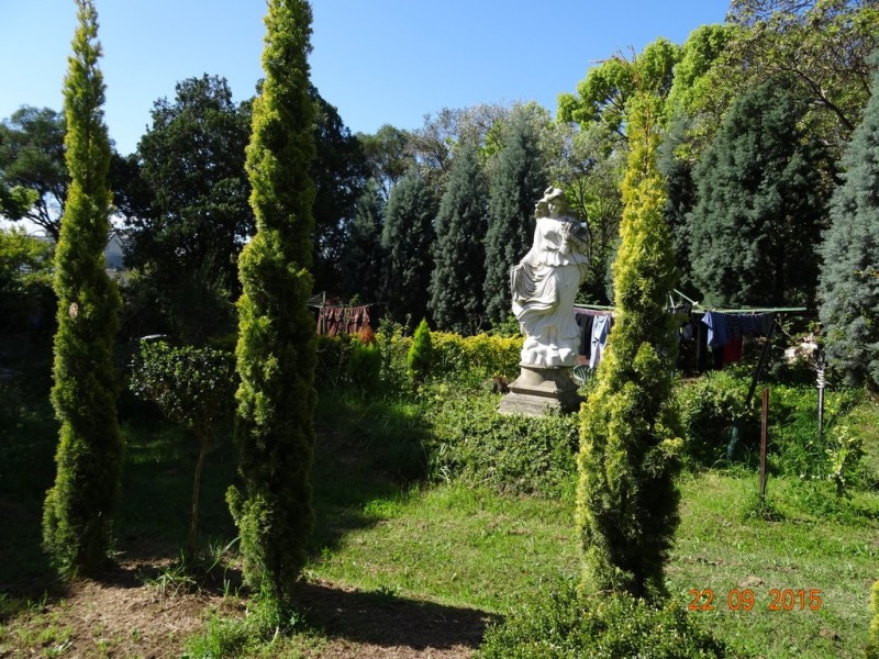 4 Taringa Street, Ashfield NSW 2131