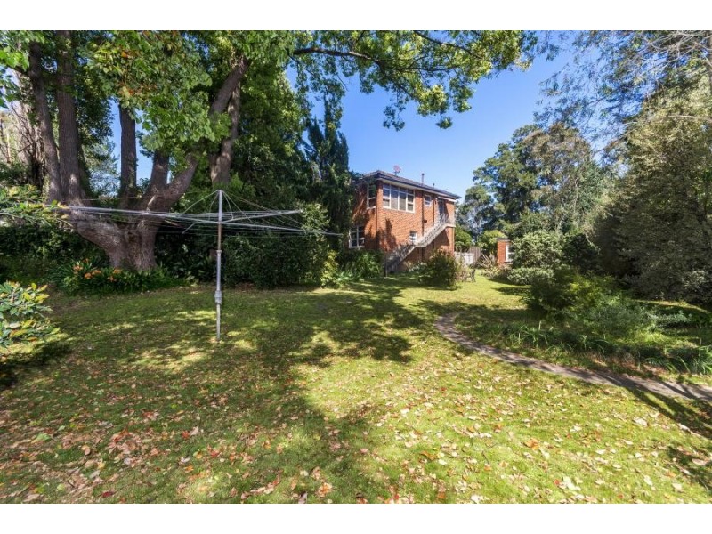 177A Norton Street, Ashfield NSW 2131