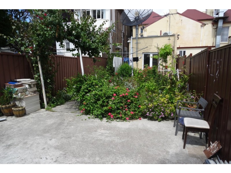 16A Charlotte Street, Ashfield NSW 2131