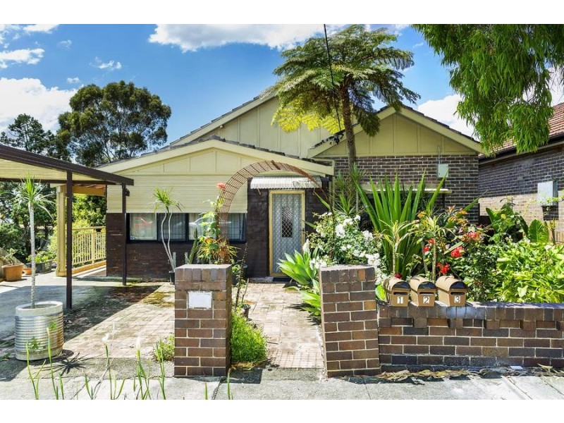 53 Gower Street, Ashfield NSW 2131