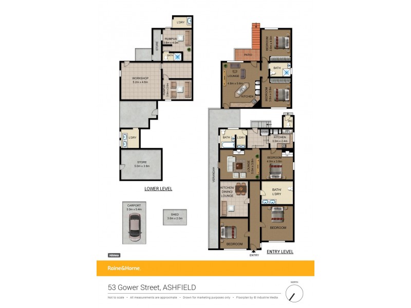 53 Gower Street, Ashfield NSW 2131