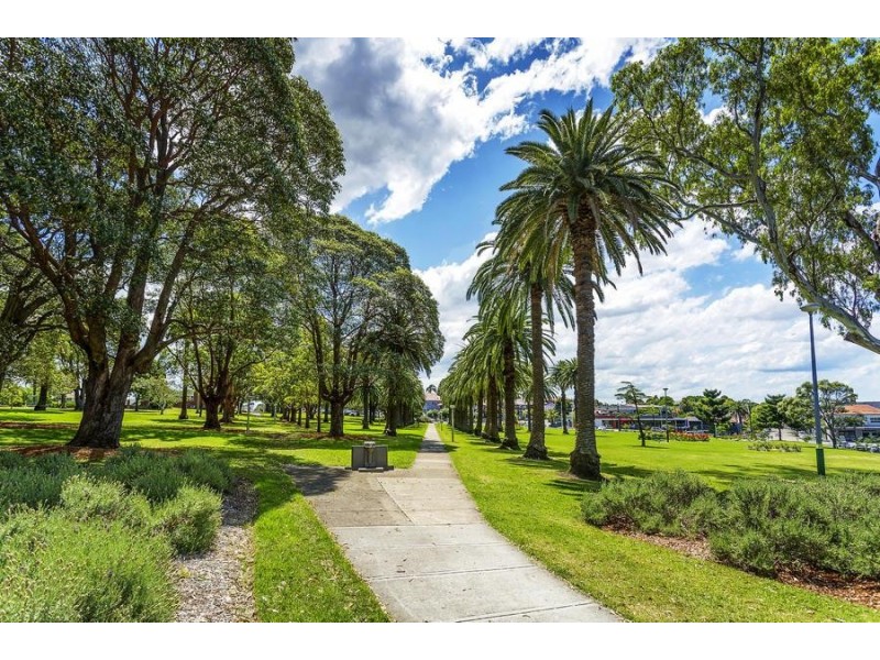 53 Gower Street, Ashfield NSW 2131