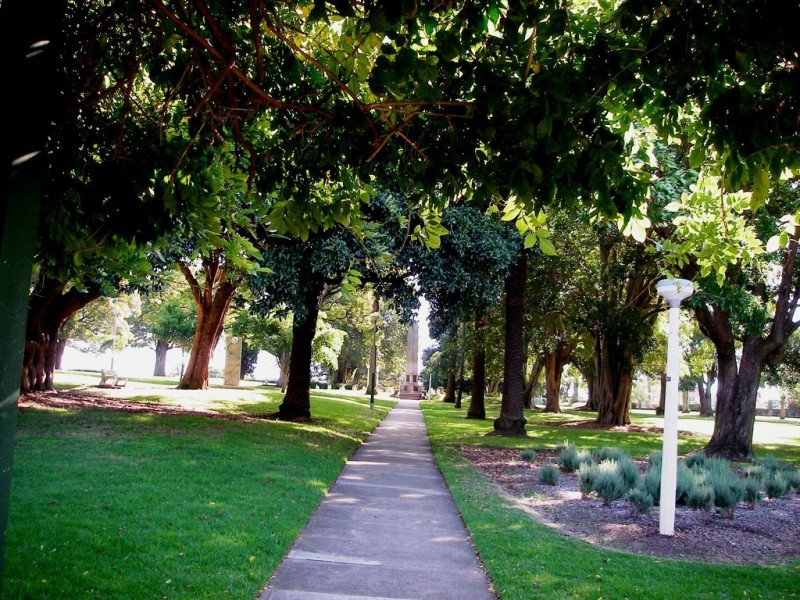 53 Gower Street, Ashfield NSW 2131