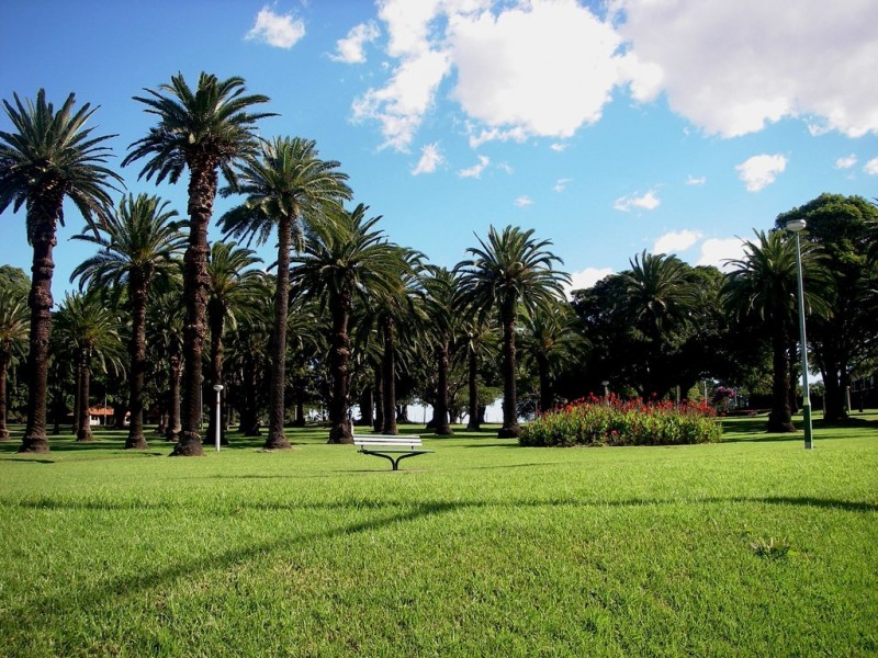 24/21 Ormond Street, Ashfield NSW 2131