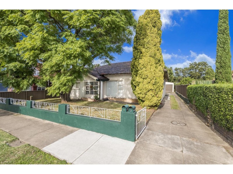 19 Earle Avenue, Ashfield NSW 2131