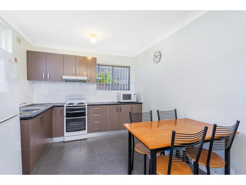 19 Earle Avenue, Ashfield NSW 2131