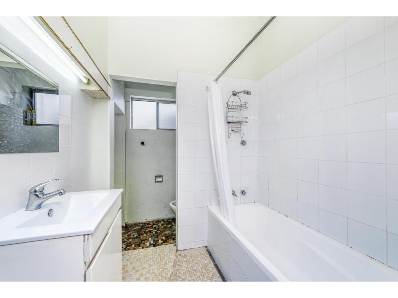 19 Earle Avenue, Ashfield NSW 2131