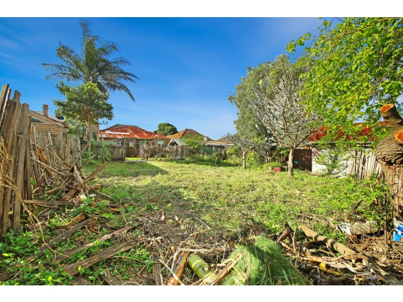 36 Palace Street, Ashfield NSW 2131