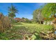 36 Palace Street, Ashfield NSW 2131