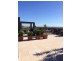 48/2A Brown Street, Ashfield NSW 2131