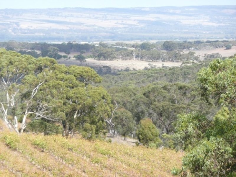Lot 4 Gosse Road, Clarendon SA 5157
