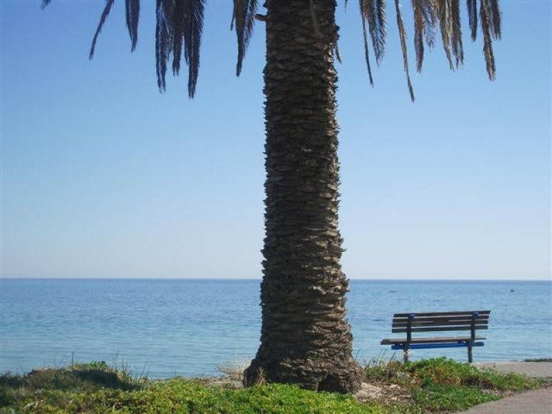 51 Downing Street, Hove SA 5048