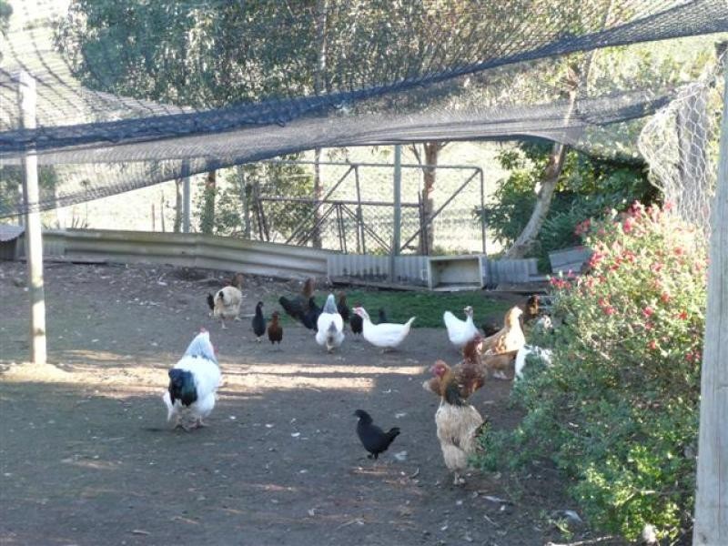 Lot 10 Louds Hill Road, Willunga SA 5172