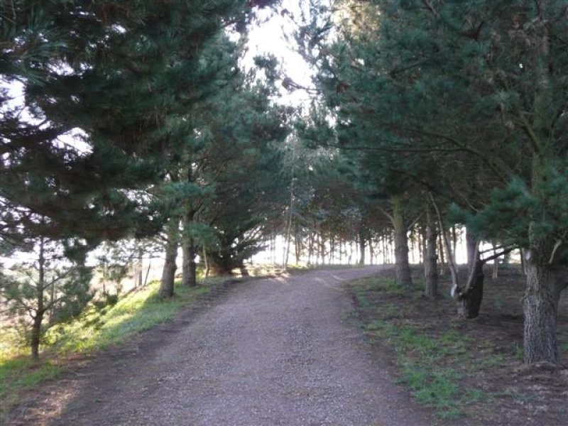 Lot 10 Louds Hill Road, Willunga SA 5172