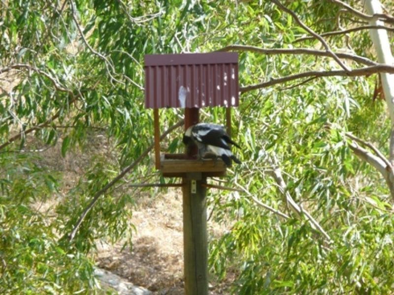 Lot 21 Strickland Road, Kangarilla SA 5157