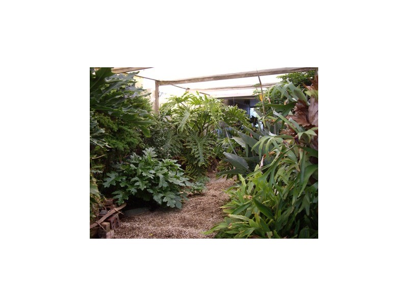 1 Gifford Terrace, Seaford SA 5169