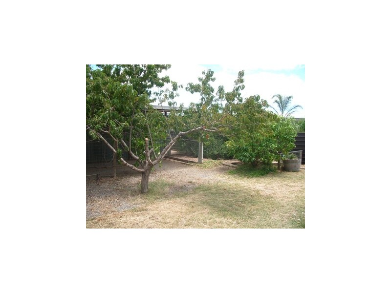 20 Seabreeze Avenue, Maslin Beach SA 5170