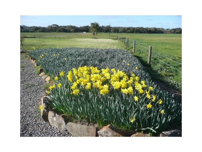 LOT 2 MUNETTA RD, Mount Compass SA 5210