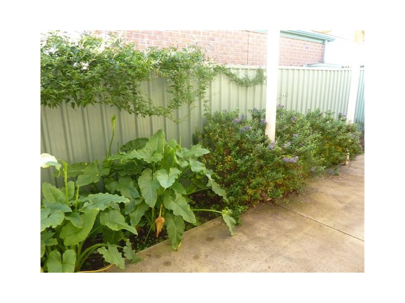 15 COWPER COURT, Willunga SA 5172