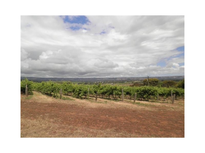 Lot 3 Carissa Road, Mclaren Vale SA 5171