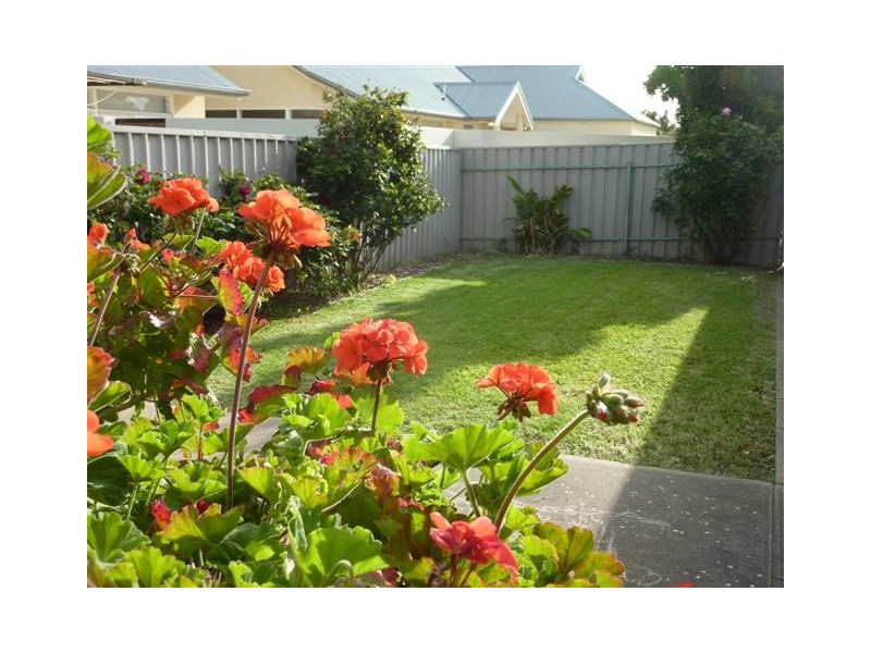 9 Scotcher Place, Mclaren Vale SA 5171