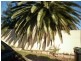 36 BROADBEACH DRIVE, Maslin Beach SA 5170