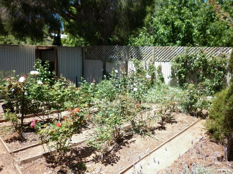 10 Armstrong Street, Sellicks Beach SA 5174